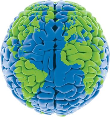 Image of a brain with the globe painted on it in blue and green. Source: Nature.org
